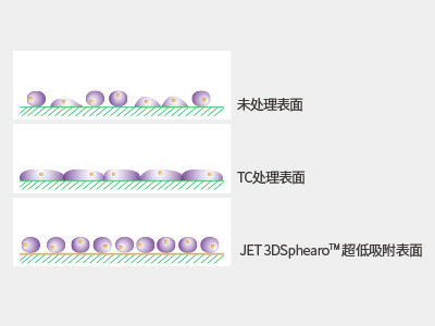 超低吸附表面具有共价结合的水凝胶层，具有极强的抗蛋白吸附性和抗细胞贴壁性，可有效抑制细胞附着
