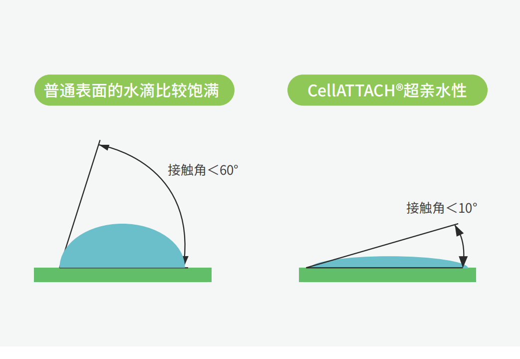独特的超亲水表面处理技术，能为细胞提供更好的吸附性，促进细胞快速贴壁生长，提高产量