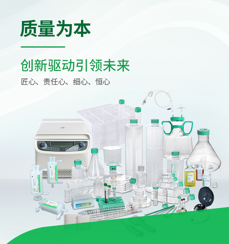 质量为本